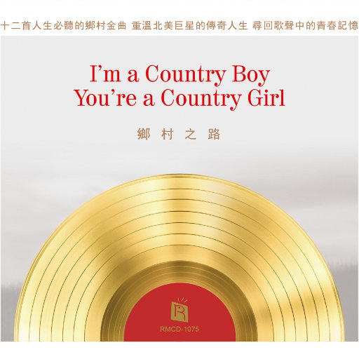 日韩二区视频免费观看
